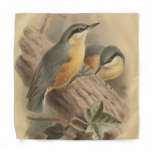 Vintage Illustration of Nuthatch Bandana