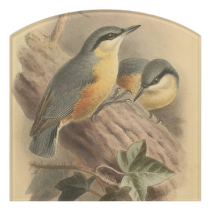 Vintage Illustration of Nuthatch Door Sign