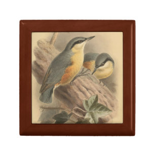 Vintage Illustration of Nuthatch Gift Box