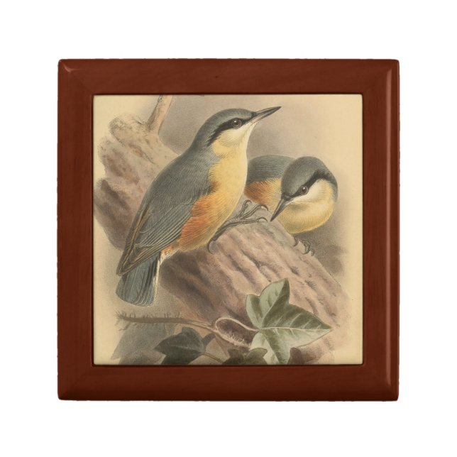 Vintage Illustration of Nuthatch Gift Box (Front)