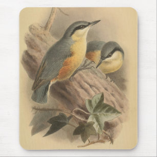 Vintage Illustration of Nuthatch Mouse Pad