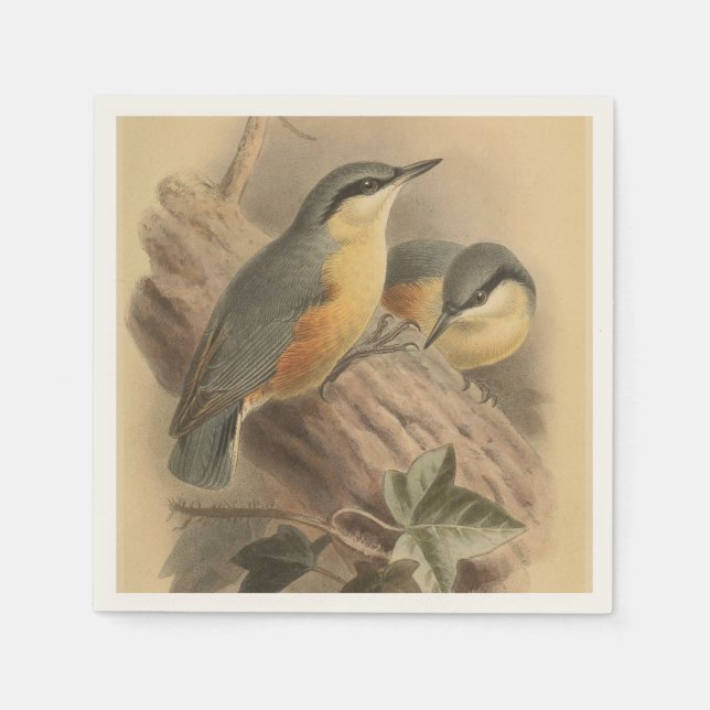 Vintage Illustration of Nuthatch Napkins (Front)