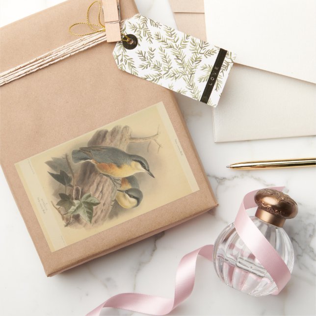Vintage Illustration of Nuthatch Rectangular Sticker (Gifting)