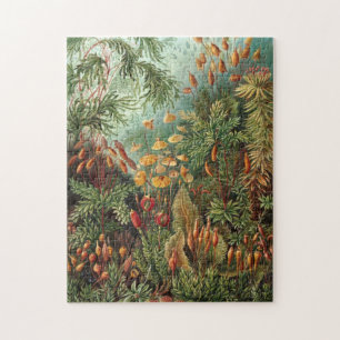 Vintage Illustration of plants/mushrooms Jigsaw Puzzle