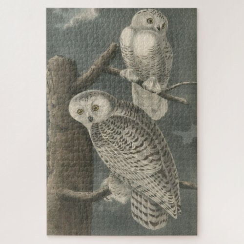 Vintage Illustration of Snowy Owls 1840 Jigsaw Puzzle