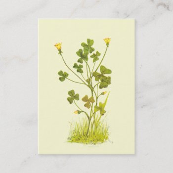 Vintage Illustration Of The Yellow Wood-sorrel Business Card by VintageFloralPrints at Zazzle