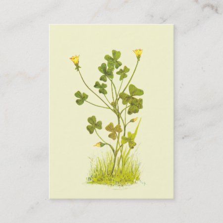 Vintage Illustration Of The Yellow Wood-sorrel Business Card