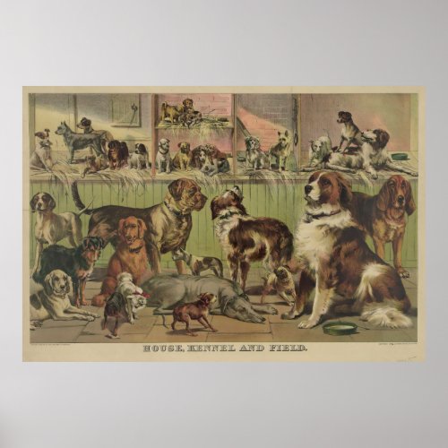 Vintage Illustration of Various Dog Breeds 1893 Poster