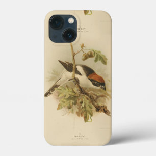 Vintage Illustration of Woodchat Shrike iPhone 13 Mini Case