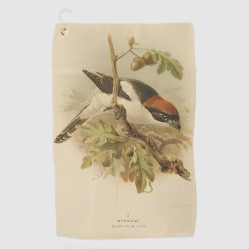 Vintage Illustration of Woodchat Shrike Golf Towel