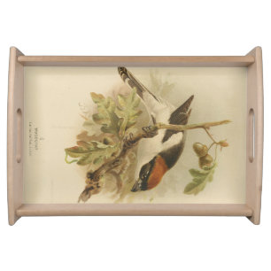 Vintage Illustration of Woodchat Shrike Serving Tray