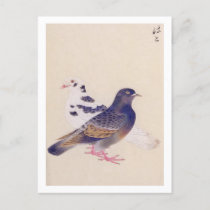 Vintage illustration: Pigeon Postcard