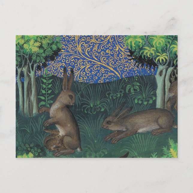 Vintage Illustration Postcard (Front)