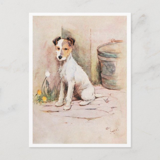 Vintage Illustration Postcard (Front)