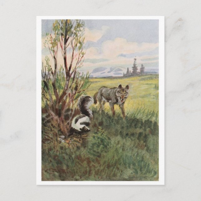 Vintage Illustration Postcard (Front)