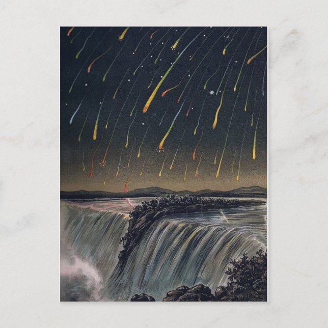 Vintage Illustration Postcard (Front)