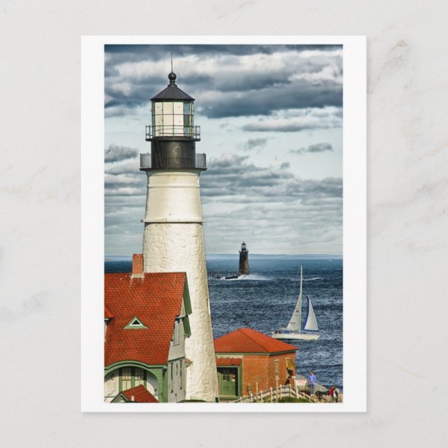 Vintage Illustration Postcard (Front)