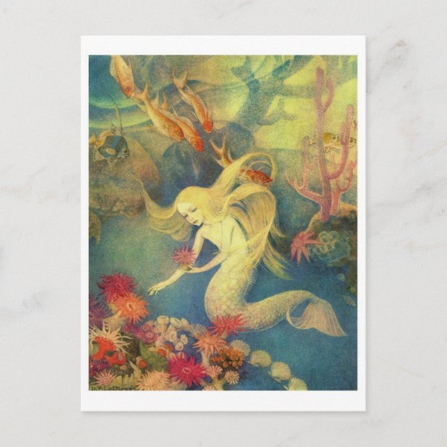 Vintage Illustration Postcard (Front)