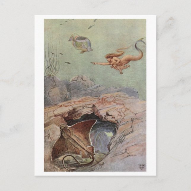 Vintage Illustration Postcard (Front)