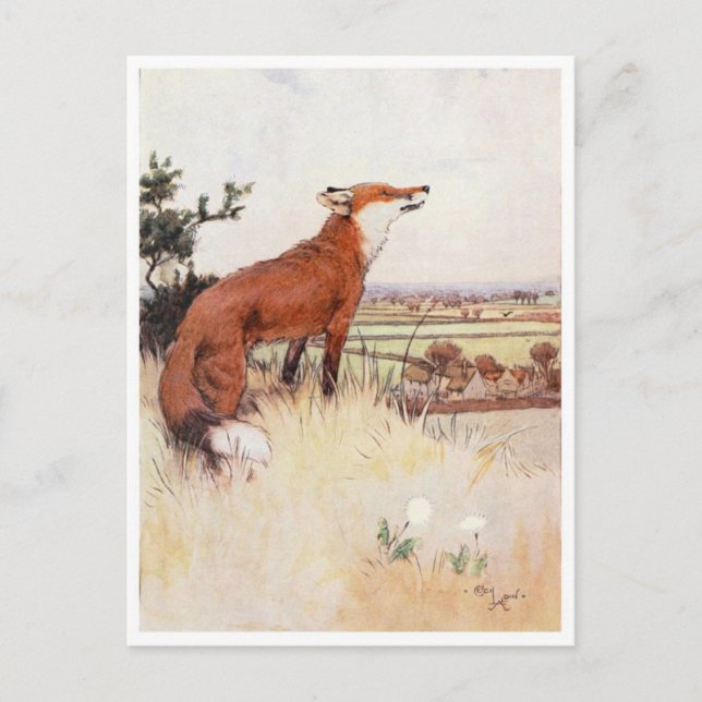 Vintage Illustration Postcard (Front)