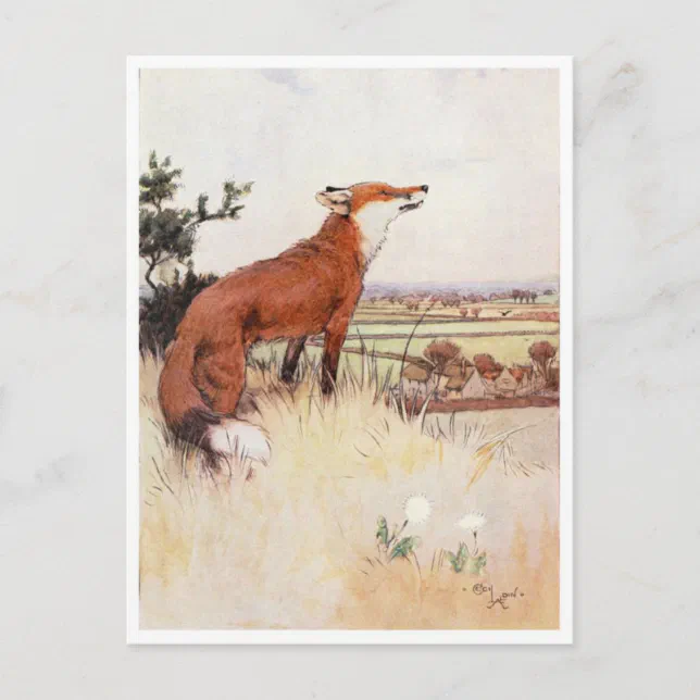 Vintage Illustration Postcard | Zazzle