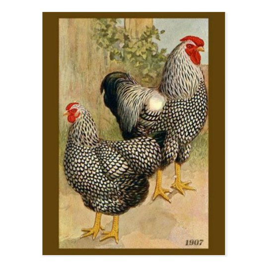Vintage Illustration Postcard | Zazzle.com