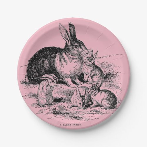 Vintage Illustration Rabbit Family Bunny Plate
