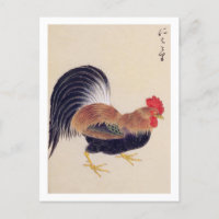 Vintage illustration: Rooster  Postcard