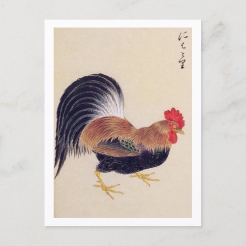 Vintage illustration Rooster  Postcard
