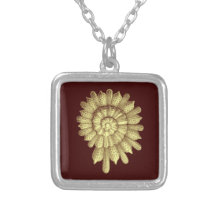 Vintage Illustration Seashell A01