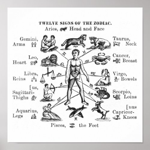 Vintage Illustration Twelve Signs of the Zodiac