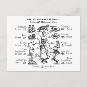 Vintage Illustration Twelve Signs of the Zodiac Postcard