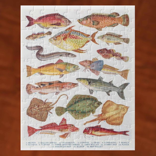Vintage Illustrations of Salt Water Fish Jigsaw Puzzle (Creator Uploaded)