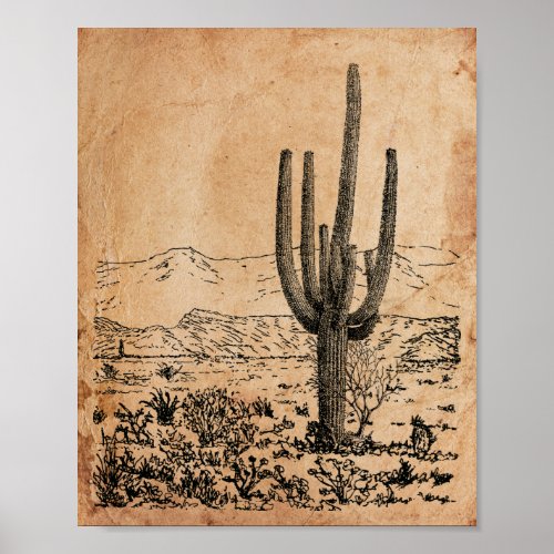 Vintage image Desert Cactus Old Antique Paper Poster