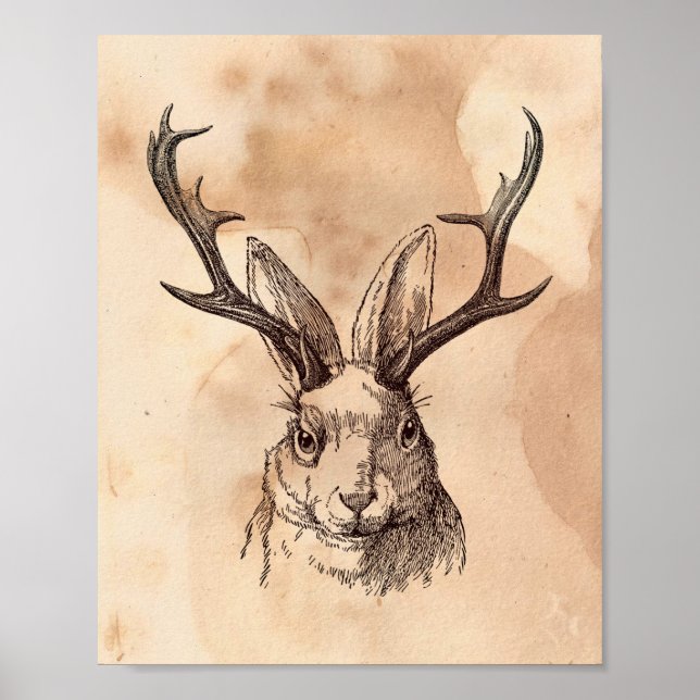 Vintage image Jackalope Rabbit Tea Stained Paper Poster (Front)