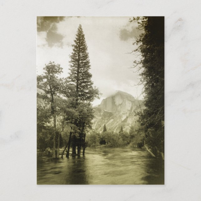 Vintage image of Yosemite National Park Postcard (Front)