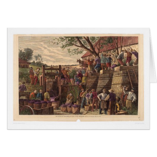 Vintage in California (0604A) Cards (Front Horizontal)