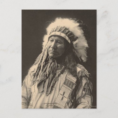 Vintage indian  Chief American Horse Sioux _ Postcard