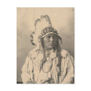 Vintage indian : Spotted Jack Rabbit, Crow - Postcard