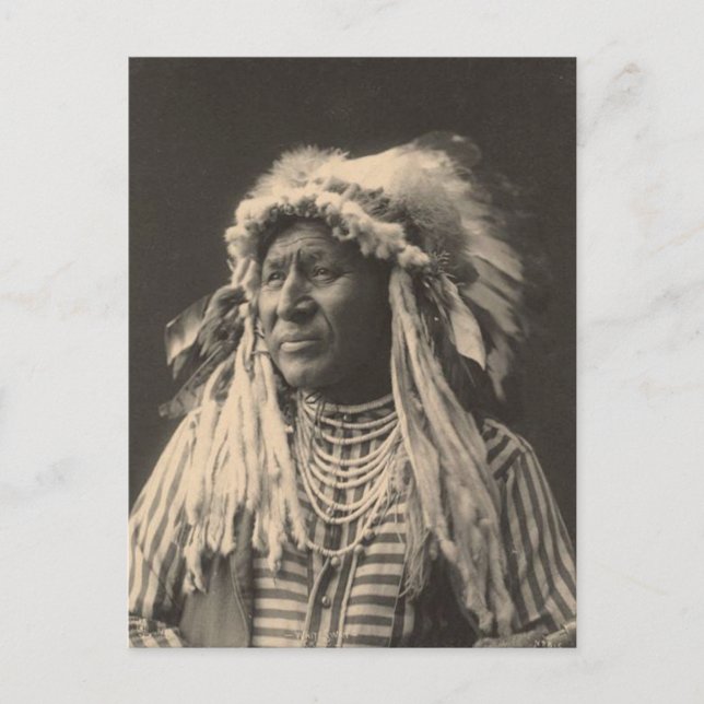 Vintage indian : White Swan, Crow - Postcard (Front)