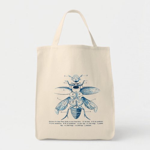 Vintage Insect  Entomology  Beetles  Blue Tote Bag