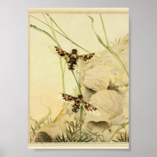Vintage Insect Illustration Poster