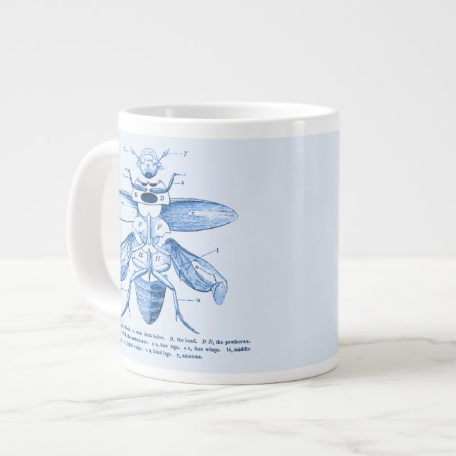 Vintage Insect Image | Beetles | Blue Giant Coffee Mug (Front Left)