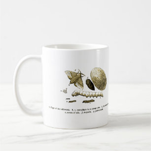 Vintage Insect Image Silkworm Moth Coffee Mug