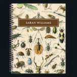 Vintage Insect  Notebook<br><div class="desc">Vintage Insect Pattern Notebook</div>