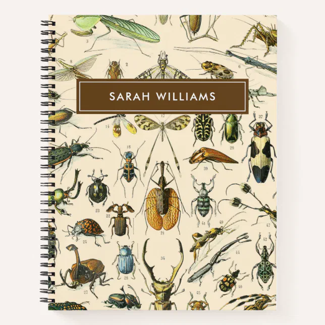 Insect Notebook Vintage Insect Notebook | Zazzle