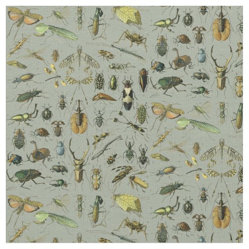 Vintage Insect Pattern Fabric