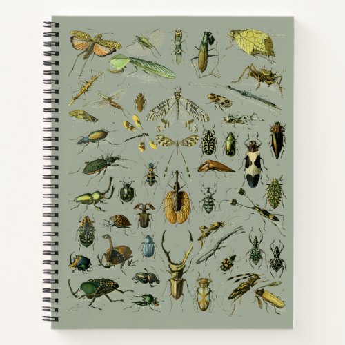 Vintage Insect Pattern Notebook