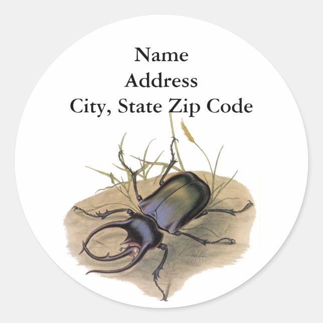 Vintage Insects and Bugs, Rhino Rhinoceros Beetle Classic Round Sticker (Front)