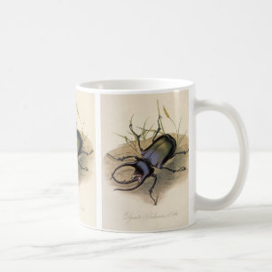 Vintage Insects and Bugs, Rhino Rhinoceros Beetle Coffee Mug